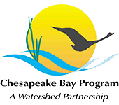 bay-logo